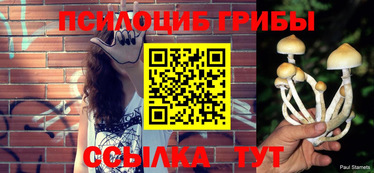 Псилоцибиновые грибы Cubensis  Галлюциногенные грибы Psilocybine cubensis  где найти   Калининград  Вход с VPN 